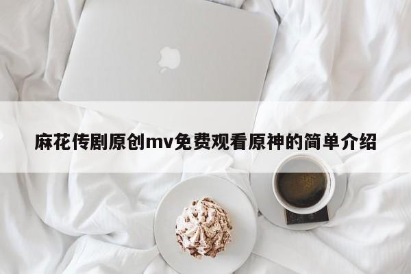 麻花传剧原创mv免费观看原神的简单介绍